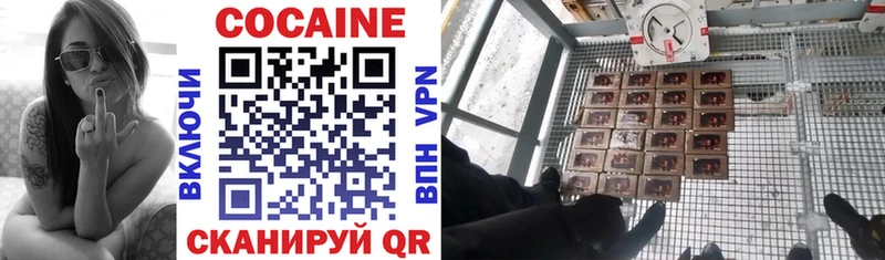 COCAIN Fish Scale  mega как войти  Томари 