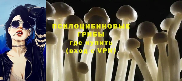 молекула духа Алексин