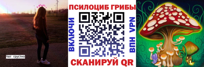 Псилоцибиновые грибы прущие грибы  Томари 